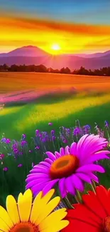 Colorful sunset over a flower field with mountains.