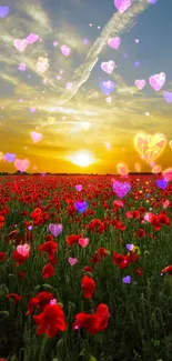 Sunset over a vibrant field of red poppies.