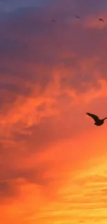 Vibrant sunset sky with flying bird silhouettes; perfect mobile wallpaper.