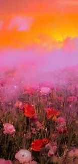 Vibrant sunset over a field of flowers with pink and orange hues.