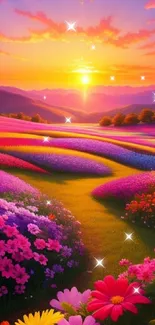 Beautiful sunset over a colorful flower field with vivid blossoms.