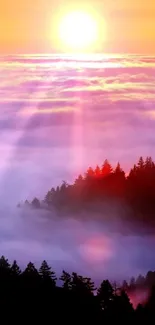 Vibrant sunset over misty forest with silhouetted trees in colorful sky.