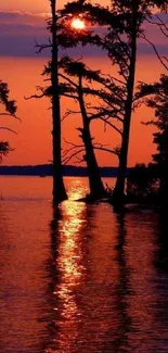 Silhouetted trees reflect in a vibrant sunset over a tranquil lake.