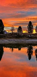 Vibrant sunset reflecting on a calm lake surrounded by trees.