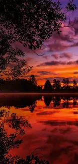 Vibrant crimson sunset reflecting over serene lake with silhouetted trees.