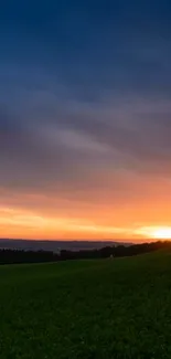 Vibrant sunset over green landscape with tree silhouette.