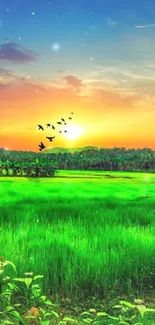 Vibrant sunset over lush green fields with a serene sky.