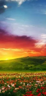 Vibrant sunset landscape wallpaper with colorful sky and flowers.