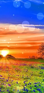 Colorful sunset over a vibrant meadow with wildflowers.