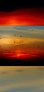 Vibrant sunset with birds in flight against a colorful sky.