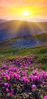 Vibrant sunset over mountains with blooming flowers.