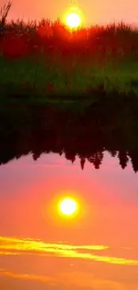 Vibrant sunset over lush green fields with orange and pink hues.