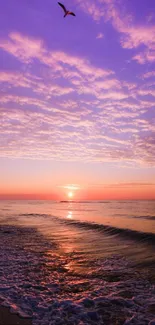 Purple sunset over the ocean with gentle waves and a bird in the sky.