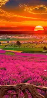 Vibrant sunset over pink fields with a clear sky.