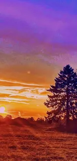 Vibrant sunset with orange and purple sky above tree silhouettes in a field.