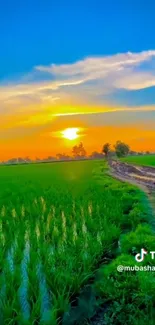 Vibrant sunset over lush green fields with a peaceful sky.