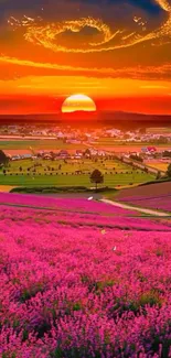 Vibrant sunset over lavender fields with colorful sky and lush landscape.