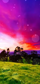 Vibrant sunset over a lush green meadow with purple sky.