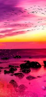 Vibrant sunset with pink sky over ocean, birds flying.