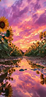 Sunset over a sunflower field with vibrant colors reflecting in a puddle.