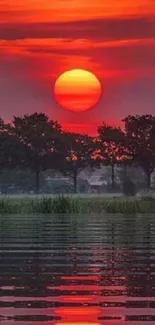 Vibrant red sunset over water with tree silhouettes.