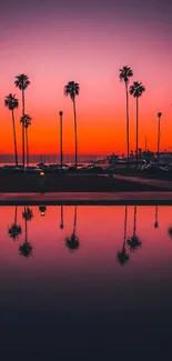 Palm trees silhouetted against a vibrant orange sunset with reflections.