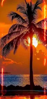 Stunning sunset with palm tree silhouetted against vibrant orange sky over ocean.