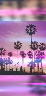 Vibrant sunset with palm trees silhouetted against pink and purple sky.