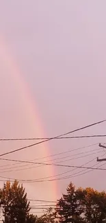 Rainbow in a pastel sunset sky with trees and power lines.