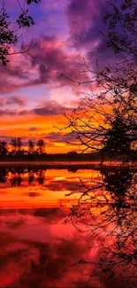 Vibrant sunset reflected on calm water with silhouetted trees.