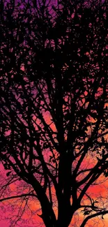 Silhouette of a tree against a vibrant purple, pink and orange sunset sky.