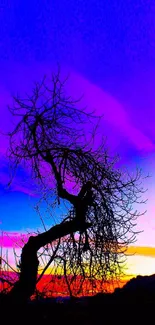 Silhouette of a tree against a vibrant, colorful sunset sky.