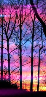 Silhouette of trees against a vibrant sunset background.