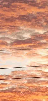 Orange and pink sunset clouds with electric lines across the sky.