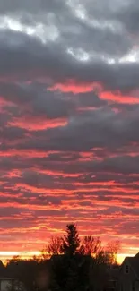 Vibrant red sunset skyline with clouds and silhouettes of houses and trees.