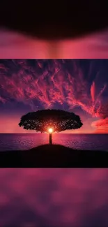 Tree silhouette with vibrant sunset sky in pink and purple hues.