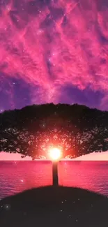 Vibrant sunset tree silhouette with pink and purple sky in mobile wallpaper.