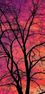 Tree silhouette against a colorful sunset sky with vibrant purple and orange hues.