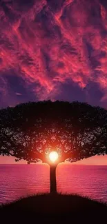 Sunset silhouette of a lone tree over water.