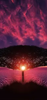 Silhouette of tree against vibrant sunset sky.