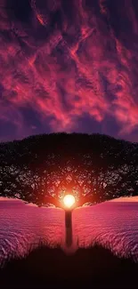 Tree silhoutted against a vibrant purple sunset sky.