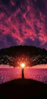 Majestic sunset behind tree with vivid sky and ocean view.