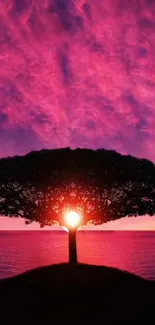 Lonely tree silhouette against sunset sky in pink hues.