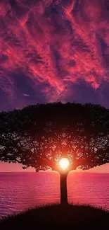 Silhouette of tree with vibrant sunset sky and ocean view.