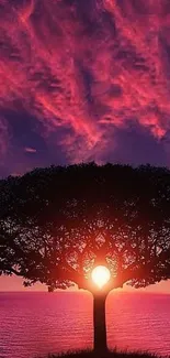 Serene tree silhouette against a vibrant purple sunset sky.