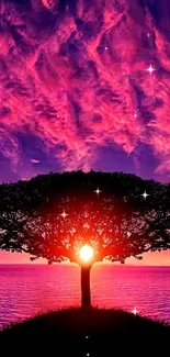 Silhouette of a tree against a vibrant magenta sunset sky.