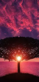 Vibrant tree silhouette against a purple and red sunset sky over water.
