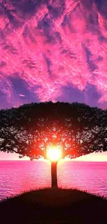 Vibrant sunset with a silhouetted tree against a vivid pink and purple sky.