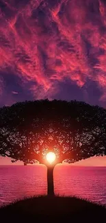 Silhouette tree against vibrant sunset sky over the ocean, perfect for mobile wallpaper.