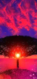 Vibrant sunset tree silhouette with purple and red sky.